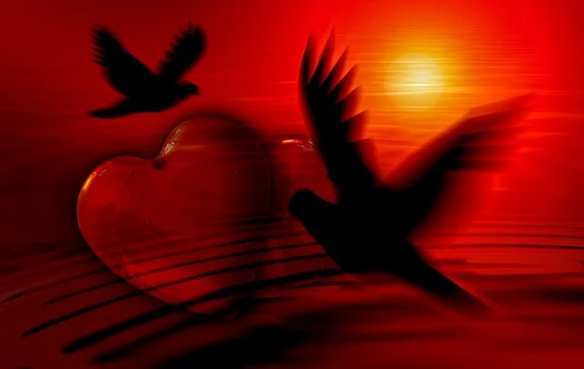 زبان عشق در روابط عاشقانه