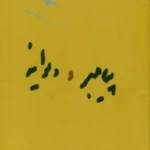 کتاب پیامبر و دیوانه